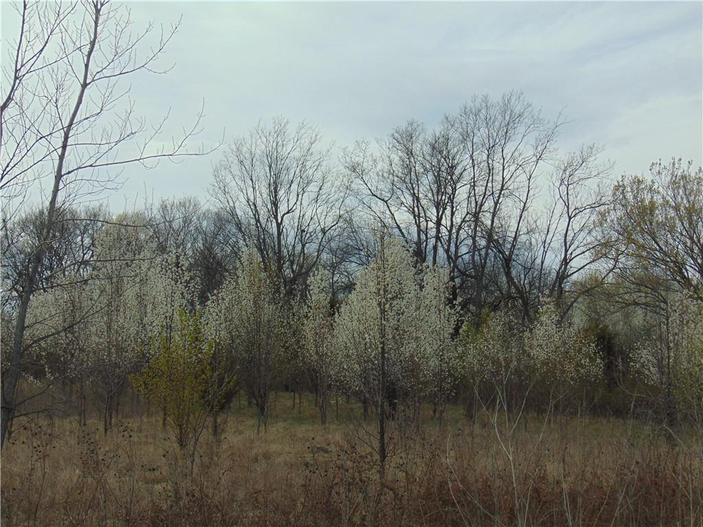 Krissy Bend Drive Property Photo 9