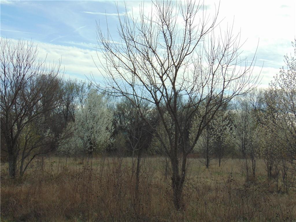 Krissy Bend Drive Property Photo 11