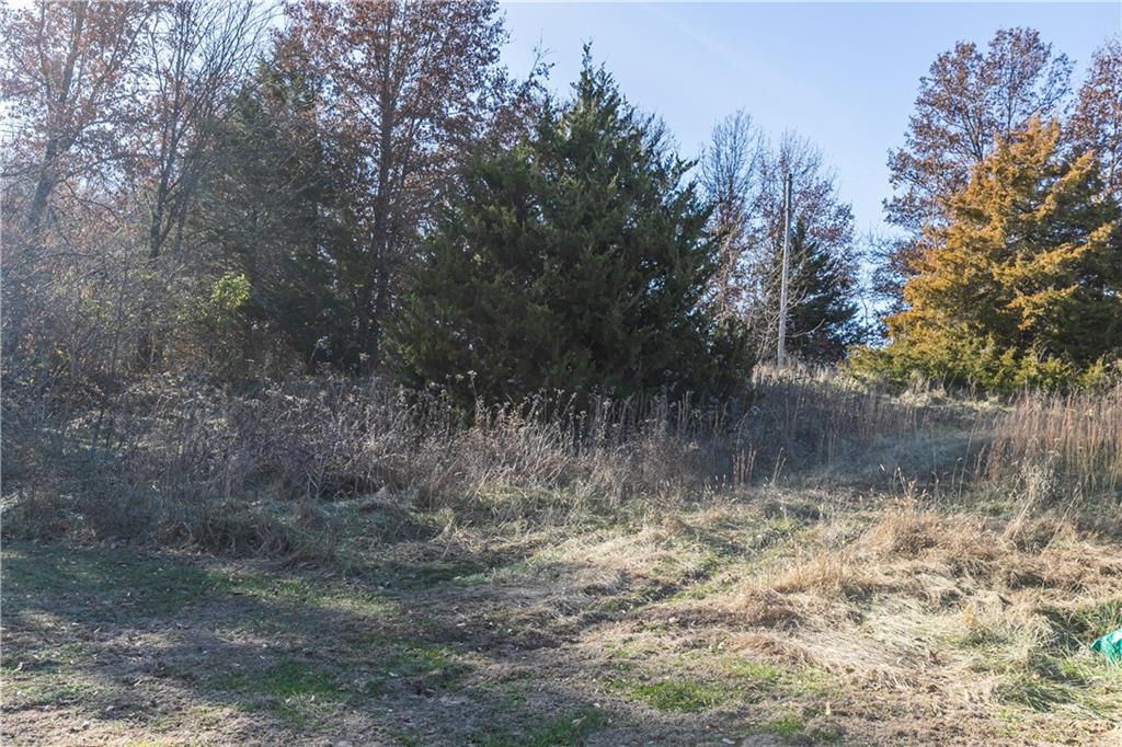 24298 Mount Olive Road Property Photo 11