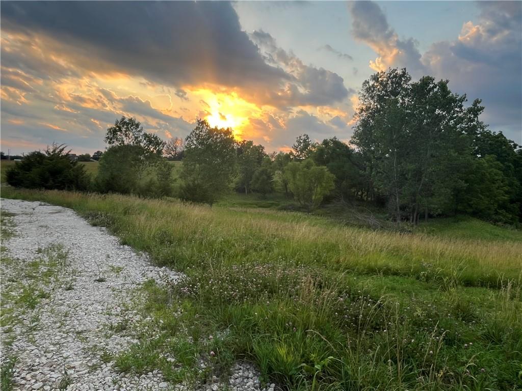 20573 Coon Branch Road Property Photo 3
