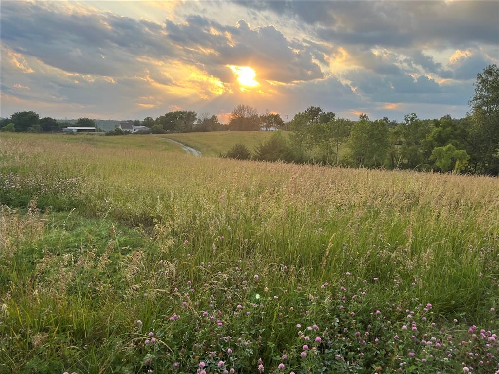 20573 Coon Branch Road Property Photo 4