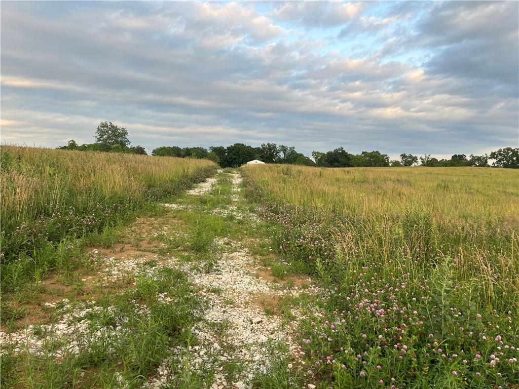 20573 Coon Branch Road Property Photo 11