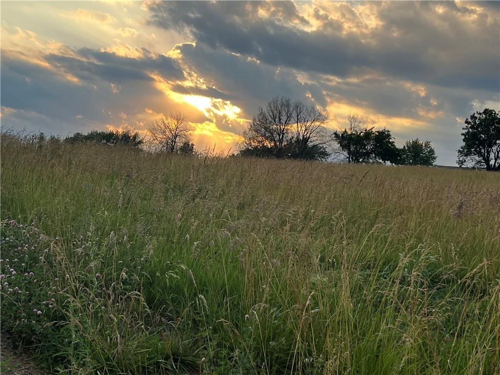 20573 Coon Branch Road Property Photo 12