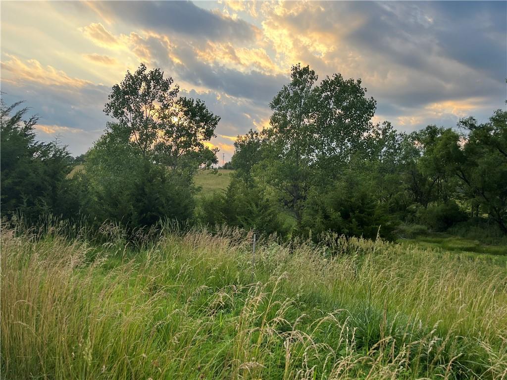 20573 Coon Branch Road Property Photo 13