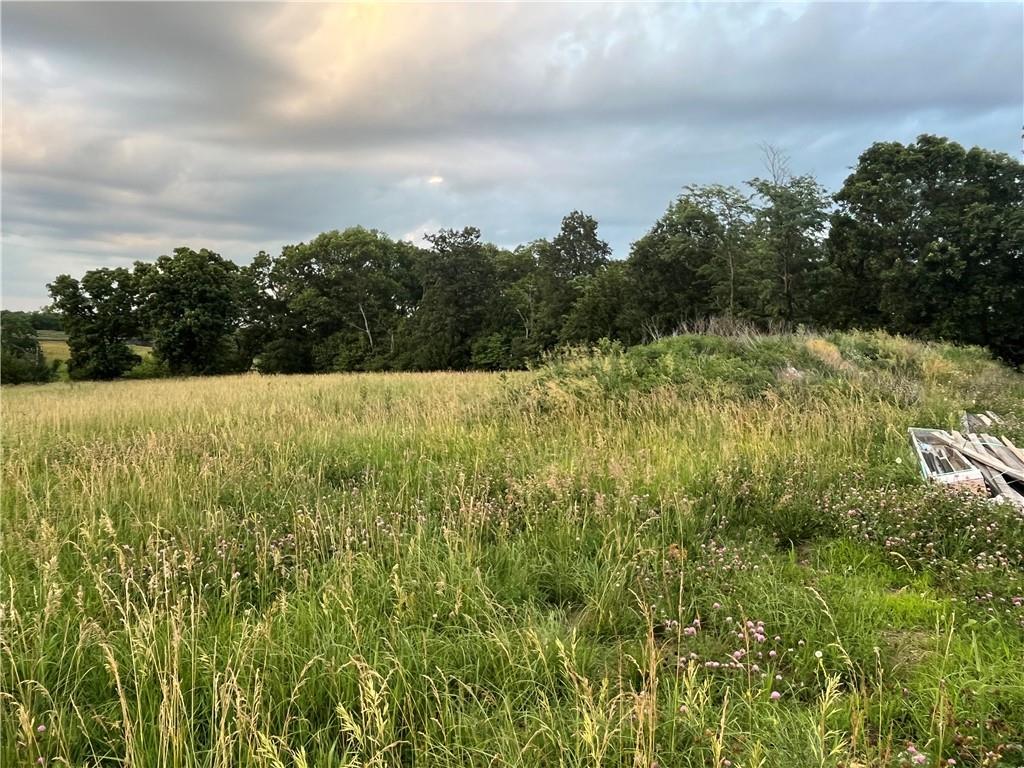 20573 Coon Branch Road Property Photo 16
