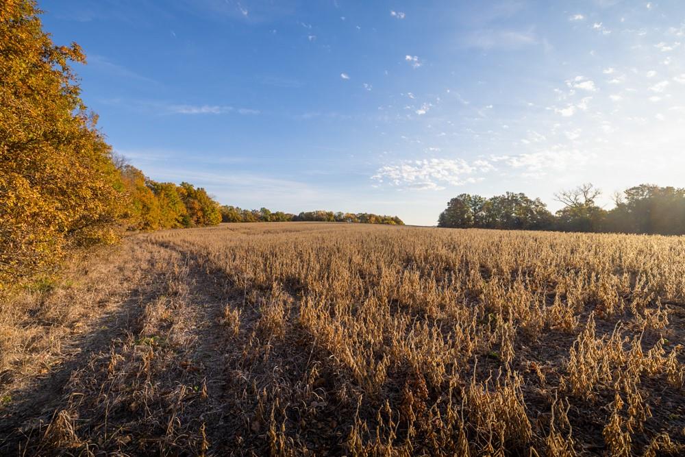 Dd Highway Property Photo 19