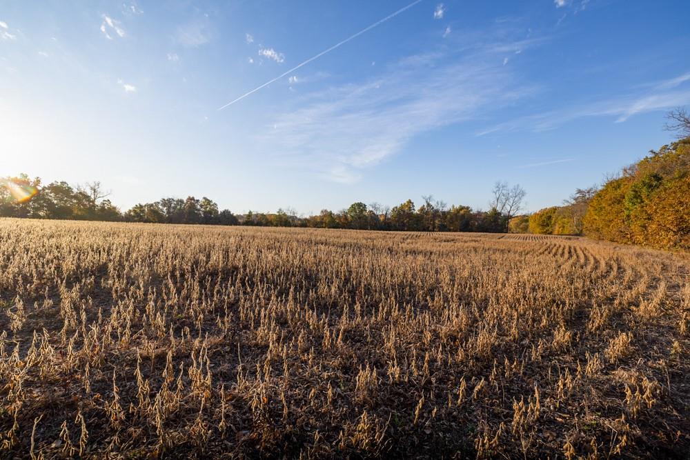 Dd Highway Property Photo 21