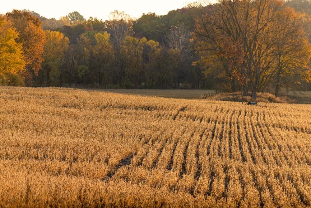 Dd Highway Property Photo 25