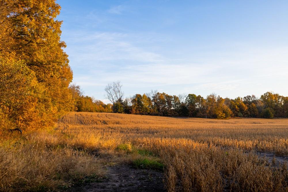 Dd Highway Property Photo 26