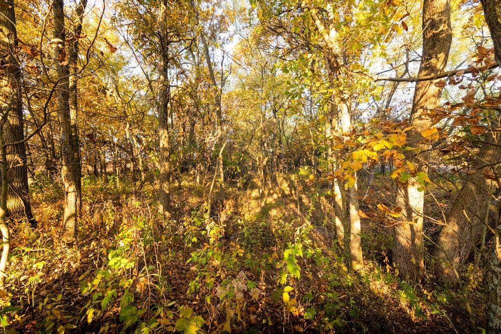 Dd Highway Property Photo 30