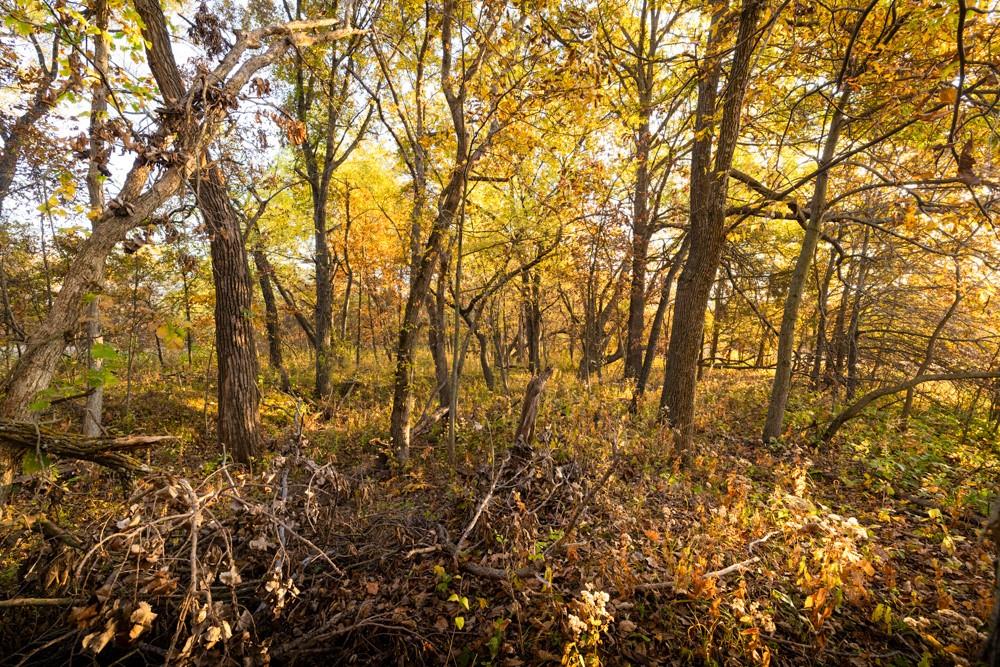Dd Highway Property Photo 31