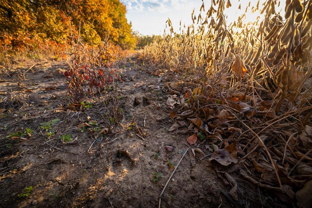 Dd Highway Property Photo 32