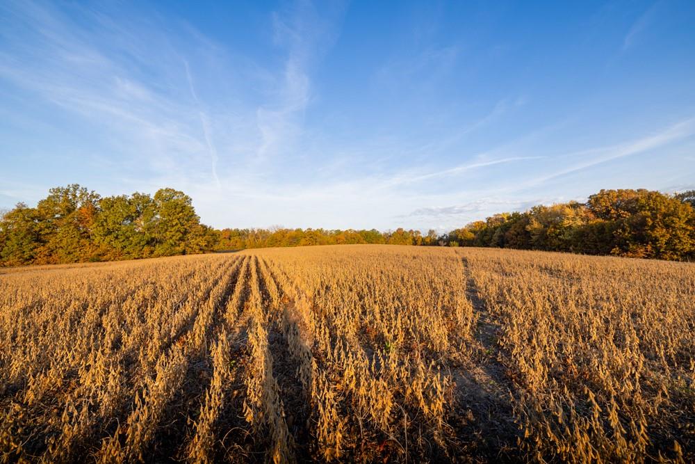 Dd Highway Property Photo 33