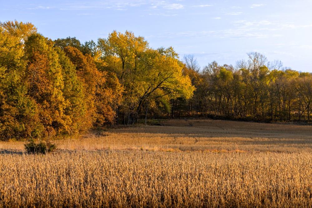 Dd Highway Property Photo 36