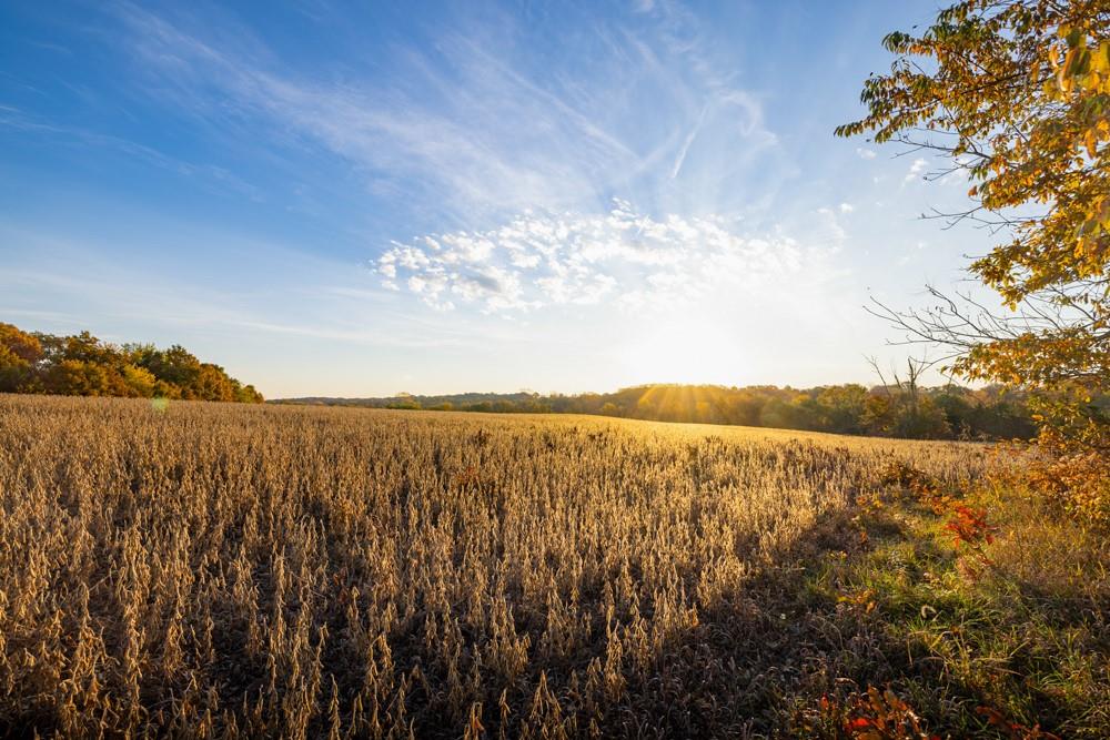 Dd Highway Property Photo 38