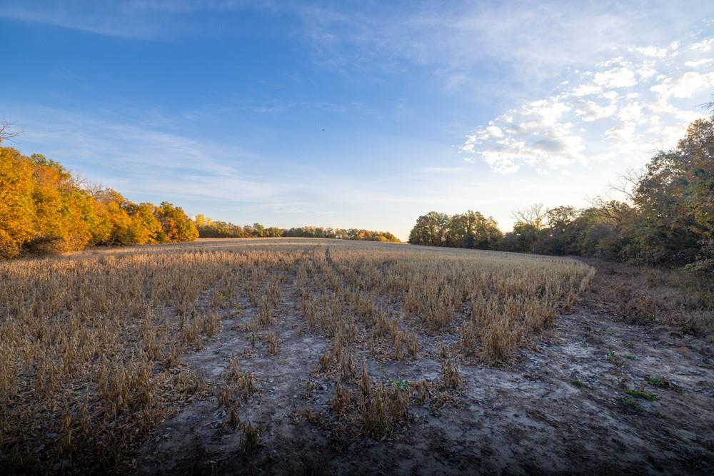 Dd Highway Property Photo 39