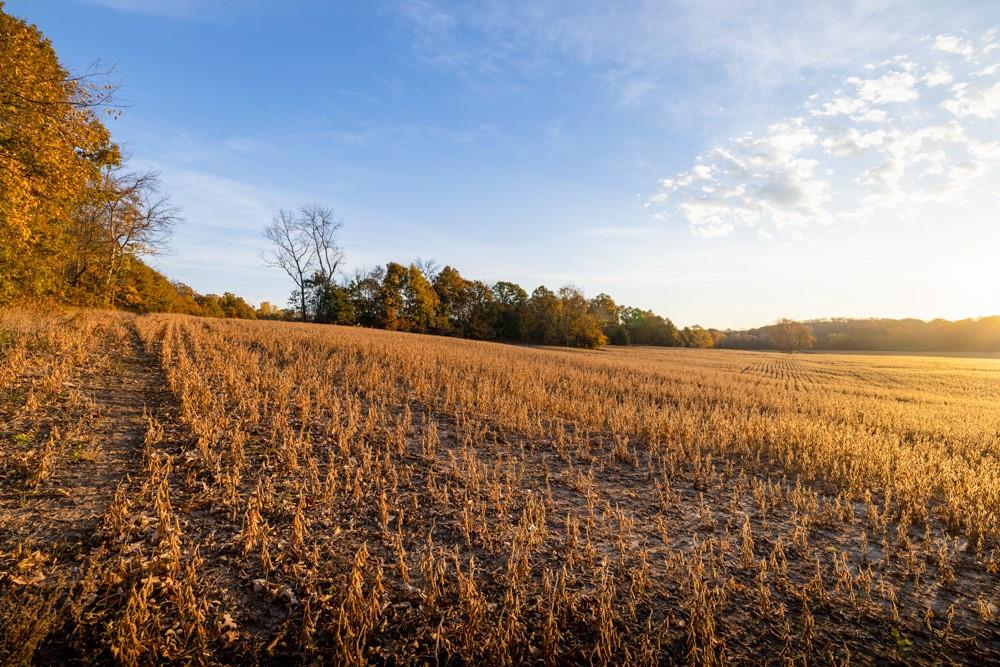 Dd Highway Property Photo 40