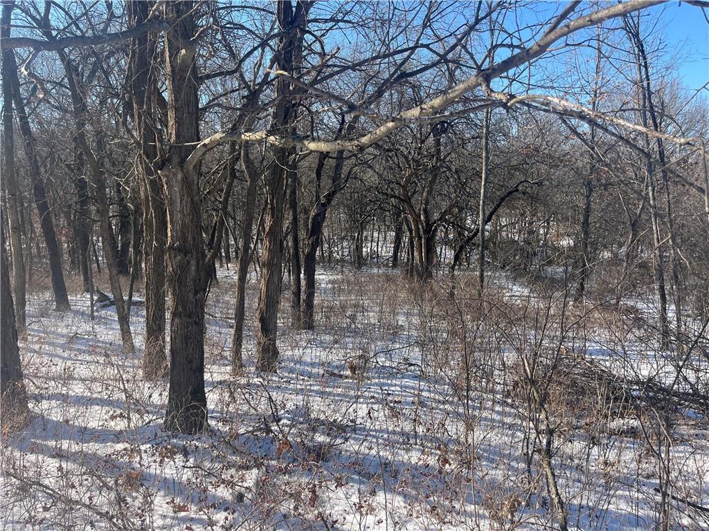 78,82,90 Locust Drive Property Photo 2