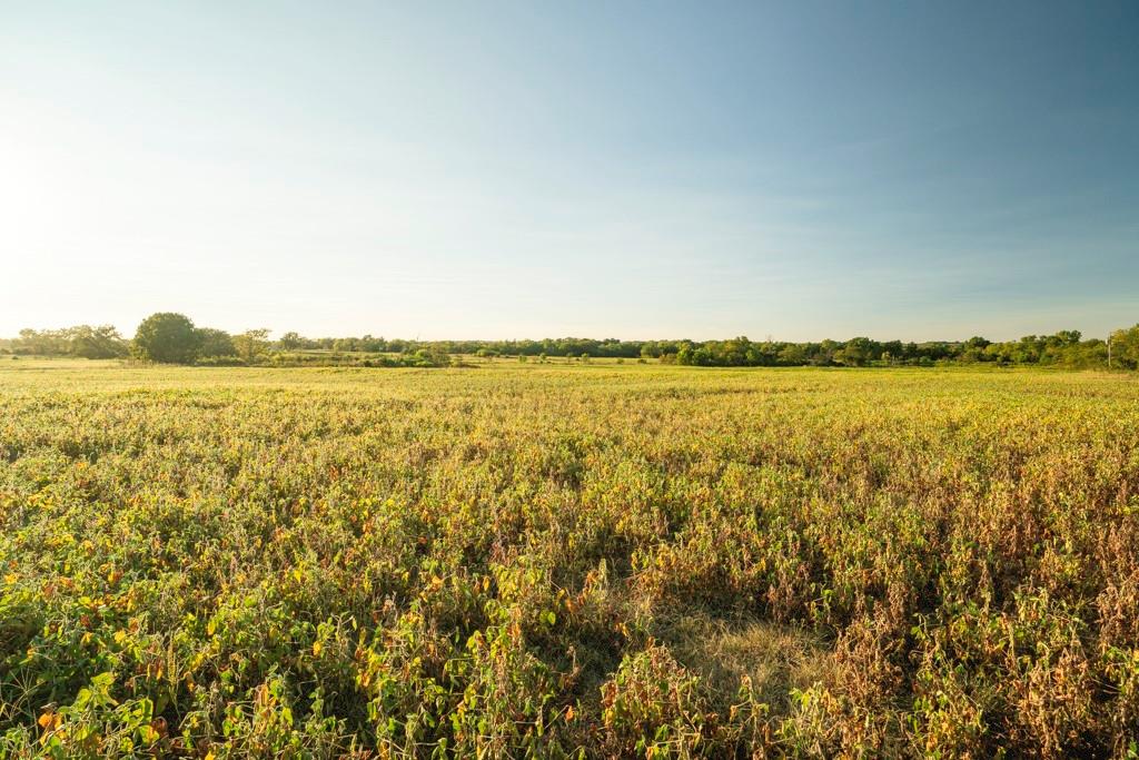 East 600 Rd Road Property Photo 37