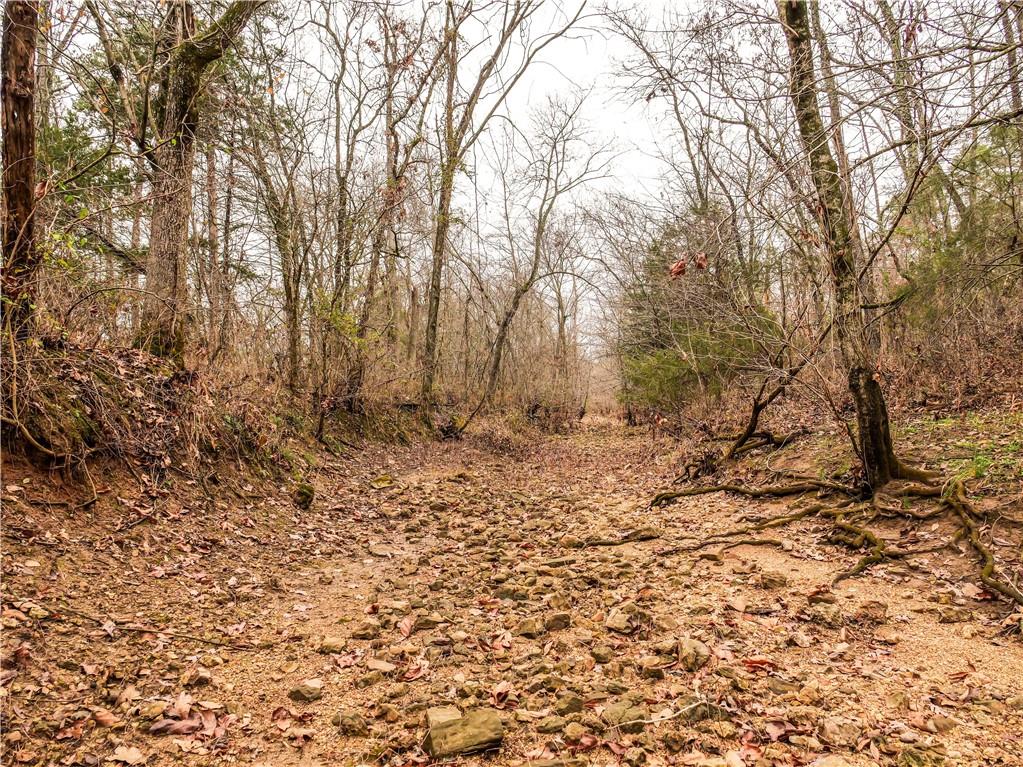 County Road 621 Road Property Photo 4