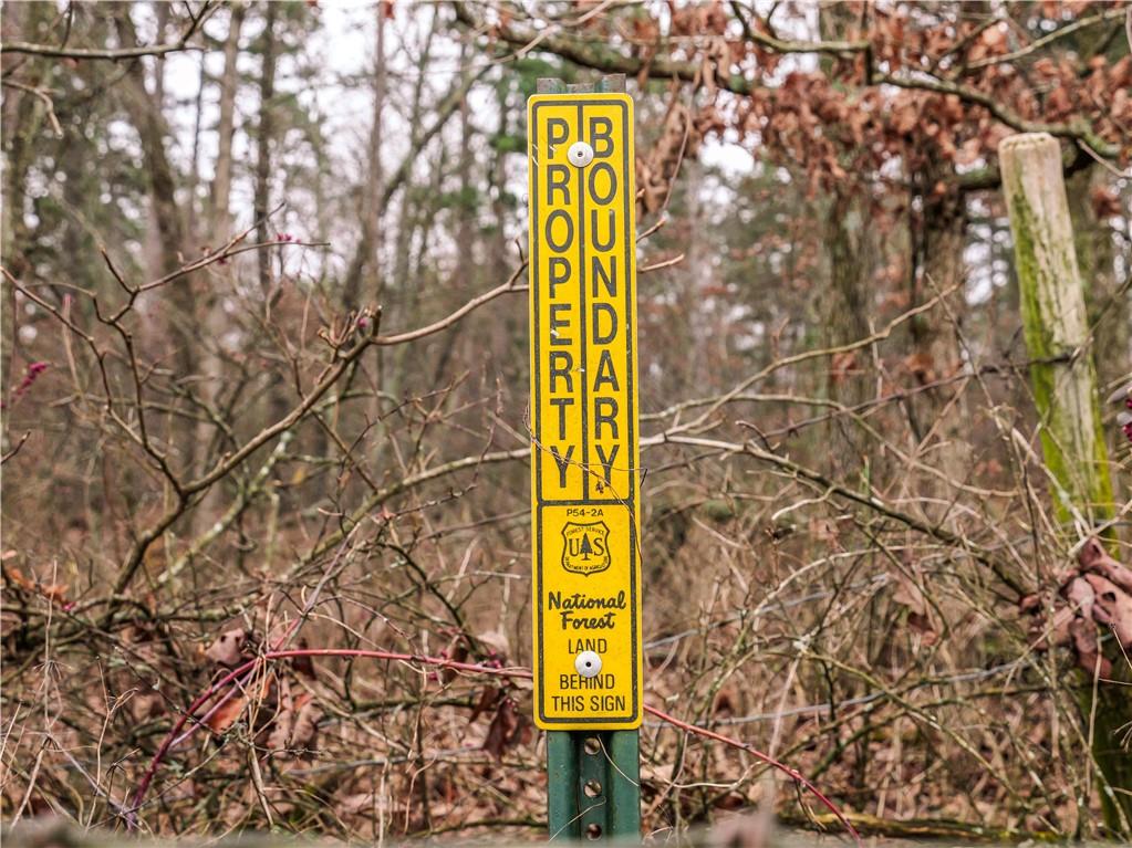 Y Highway Property Photo 13