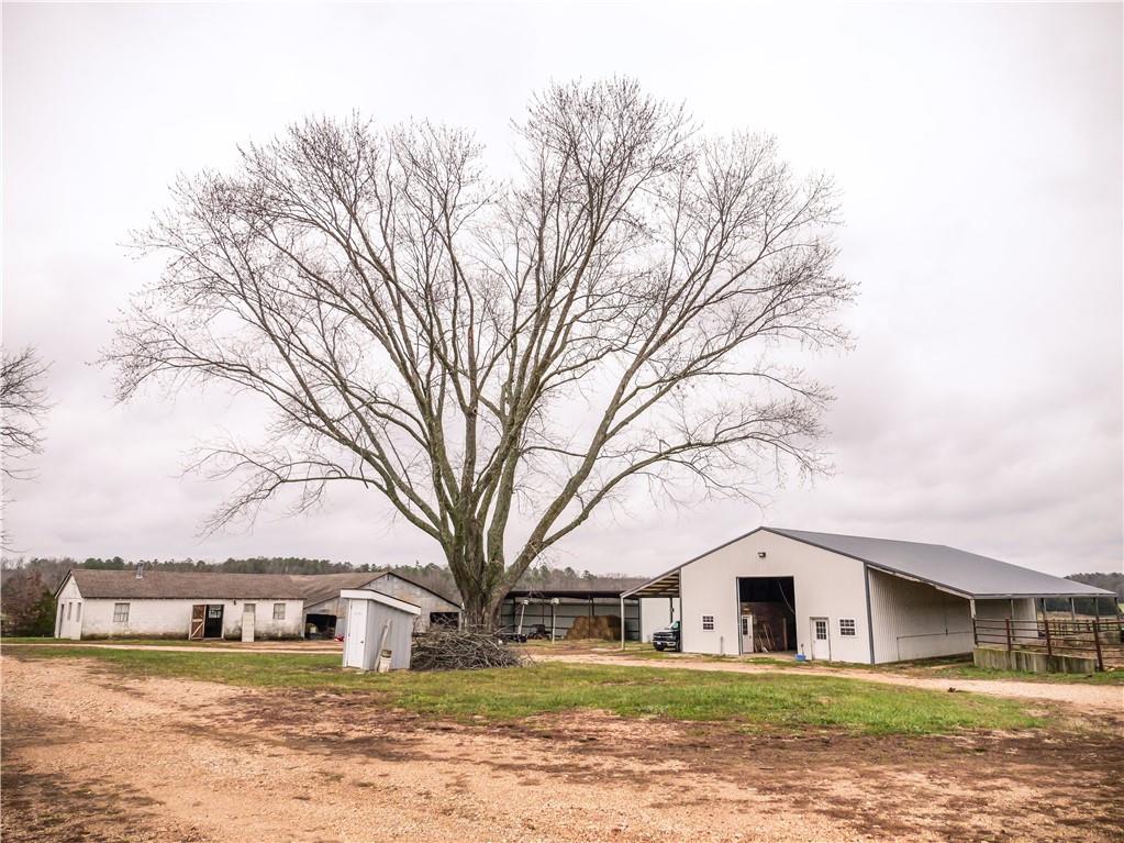 Y Highway Property Photo 14