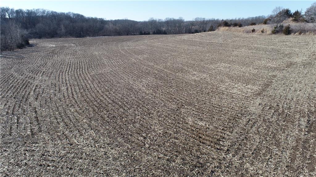 Y Highway Property Photo 18