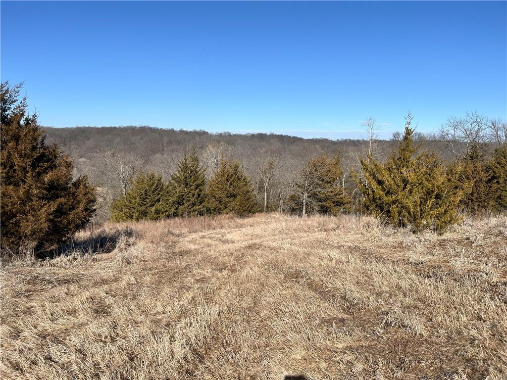Y Highway Property Photo 27