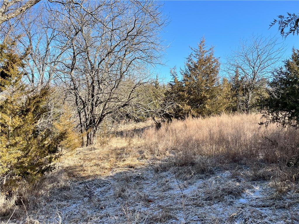 Y Highway Property Photo 28