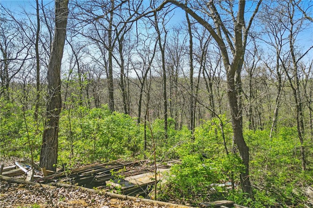 105 Ravenwood Drive Property Photo 44