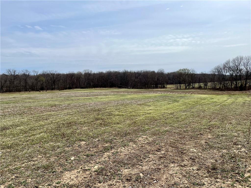 21545 W 303rd Road Property Photo 8