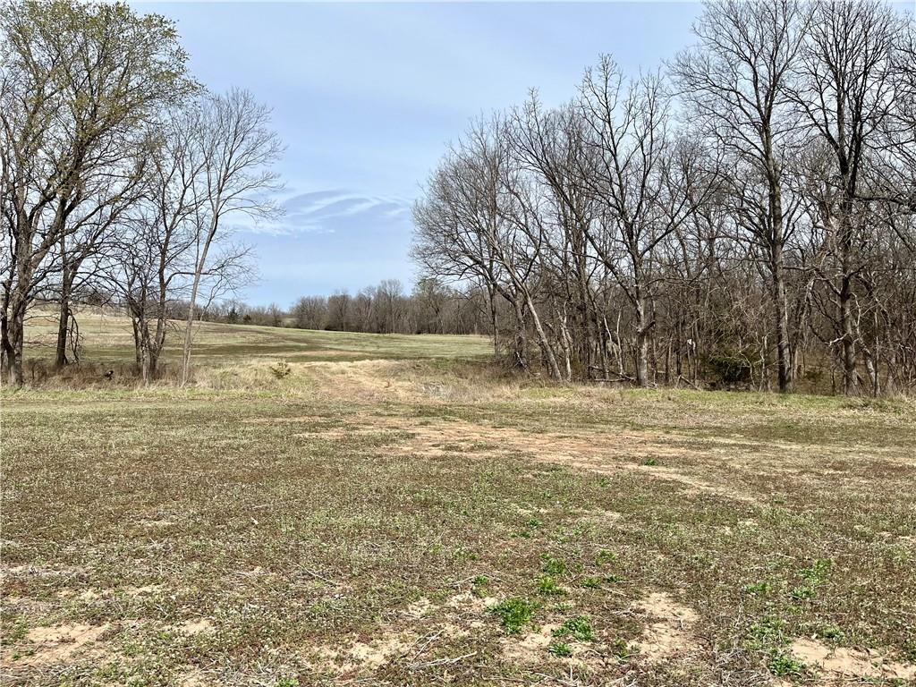 21545 W 303rd Road Property Photo 9