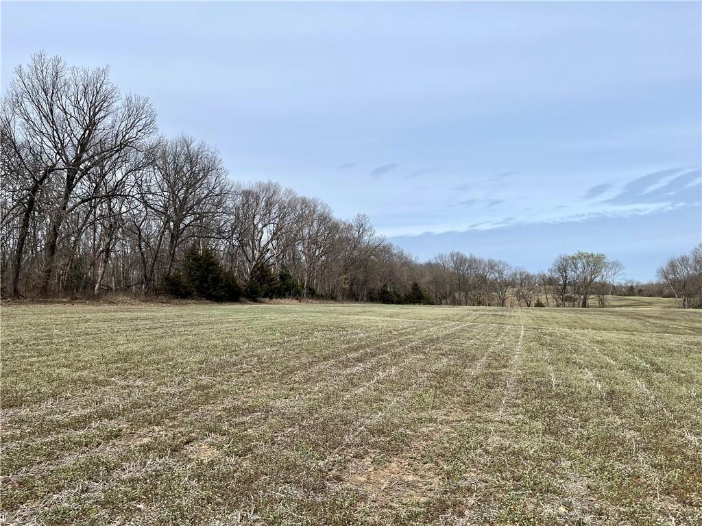 21545 W 303rd Road Property Photo 12