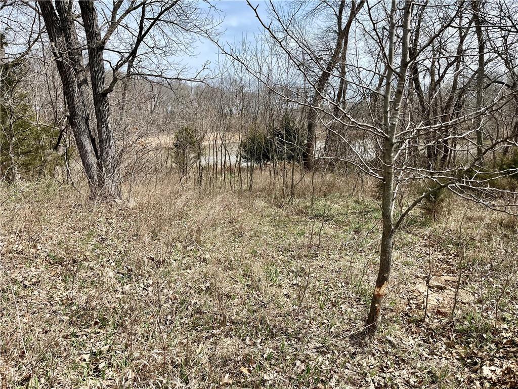 21545 W 303rd Road Property Photo 15