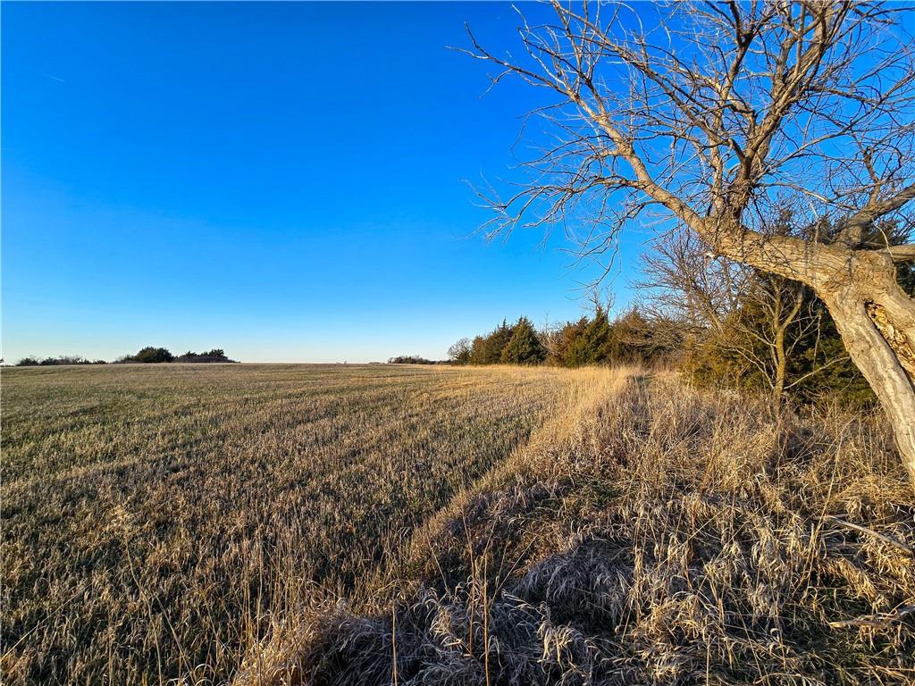 Skiddy Road Property Photo 23