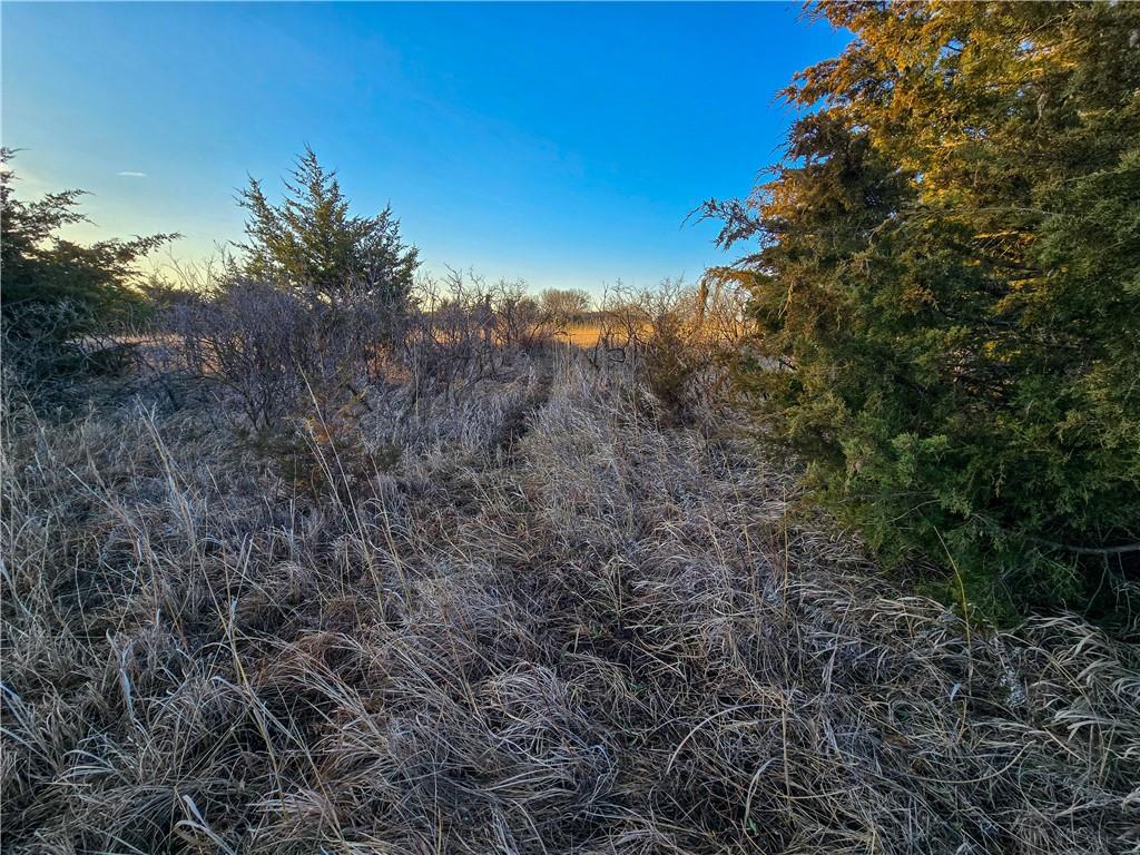 Skiddy Road Property Photo 24