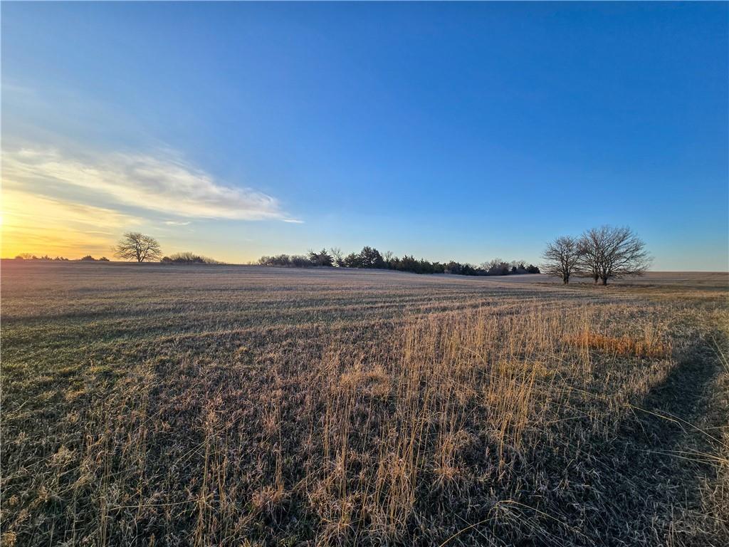 Skiddy Road Property Photo 26