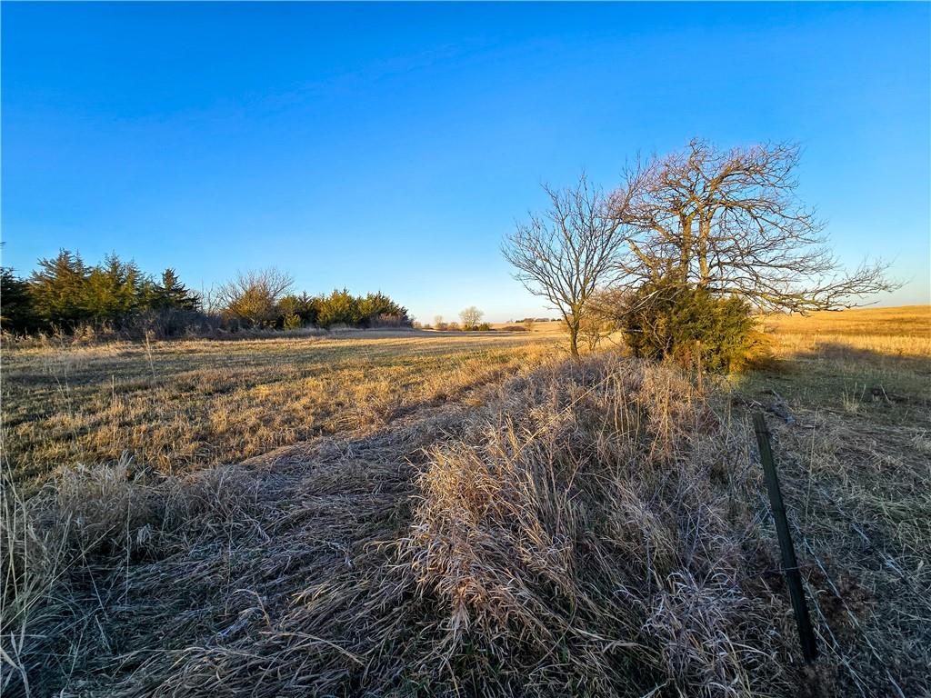 Skiddy Road Property Photo 30