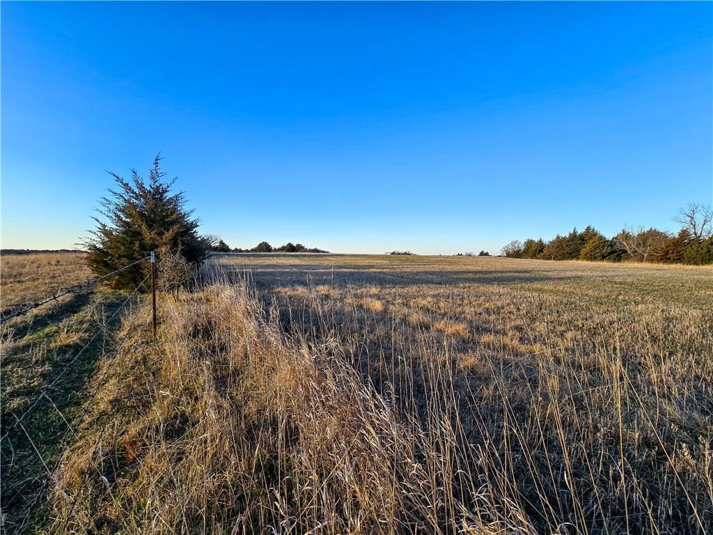 Skiddy Road Property Photo 32