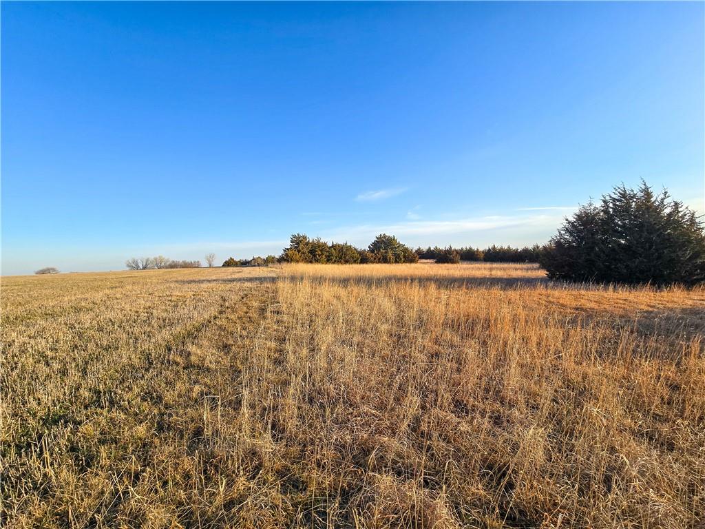 Skiddy Road Property Photo 34