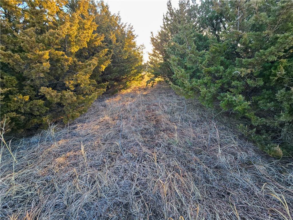 Skiddy Road Property Photo 35