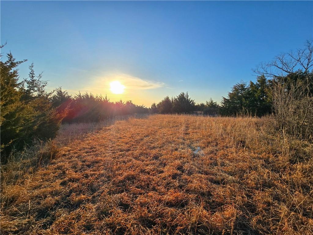Skiddy Road Property Photo 36