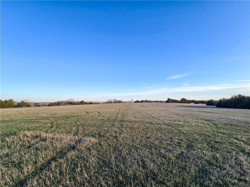 Skiddy Road Property Photo 37