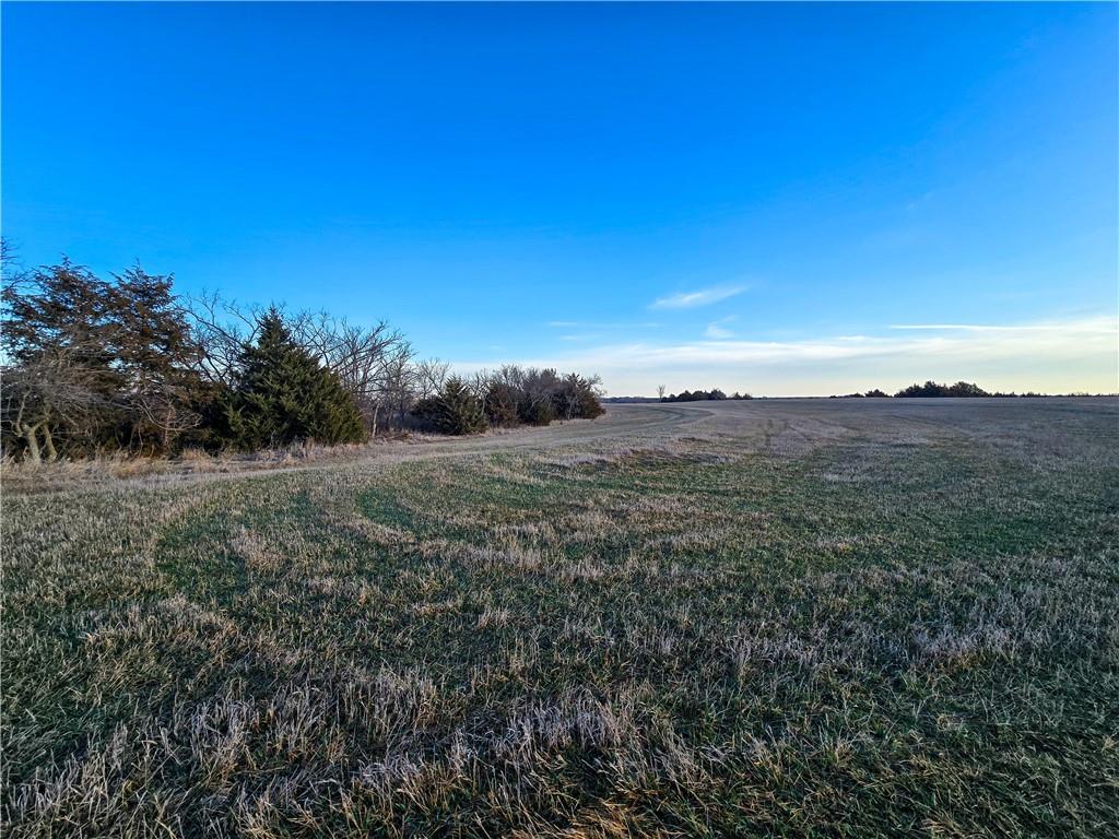 Skiddy Road Property Photo 38