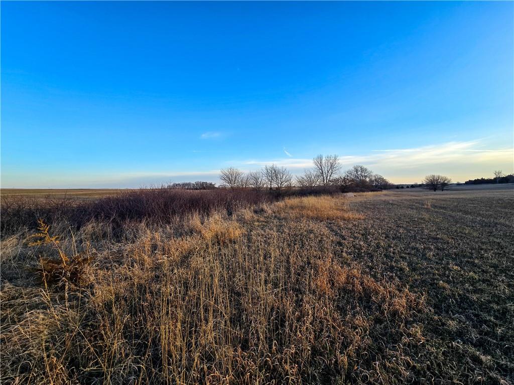 Skiddy Road Property Photo 39