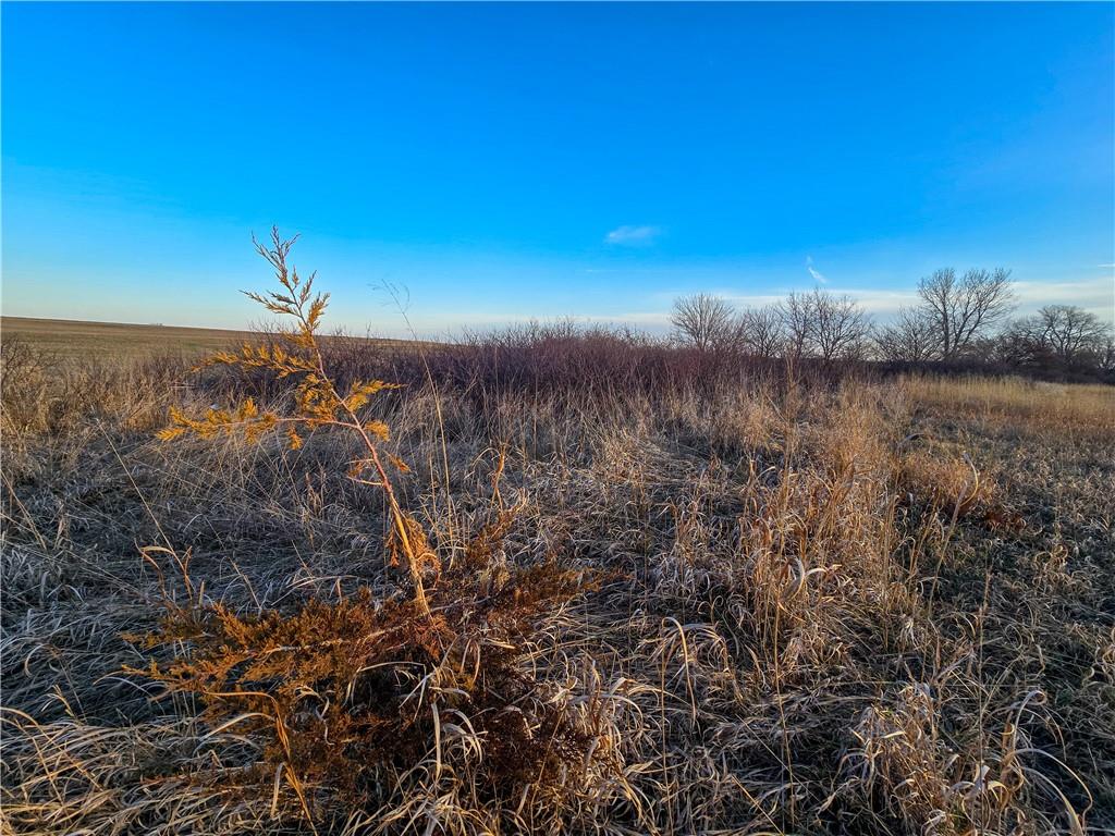 Skiddy Road Property Photo 40