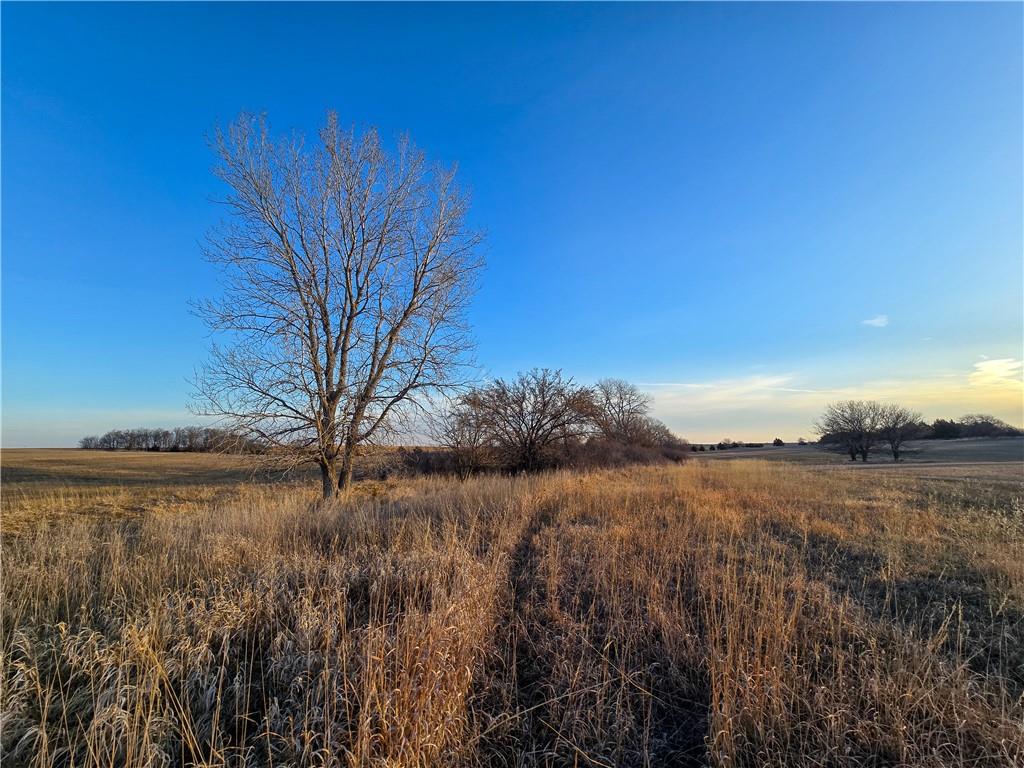 Skiddy Road Property Photo 41