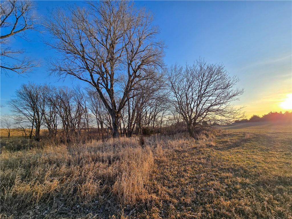 Skiddy Road Property Photo 42
