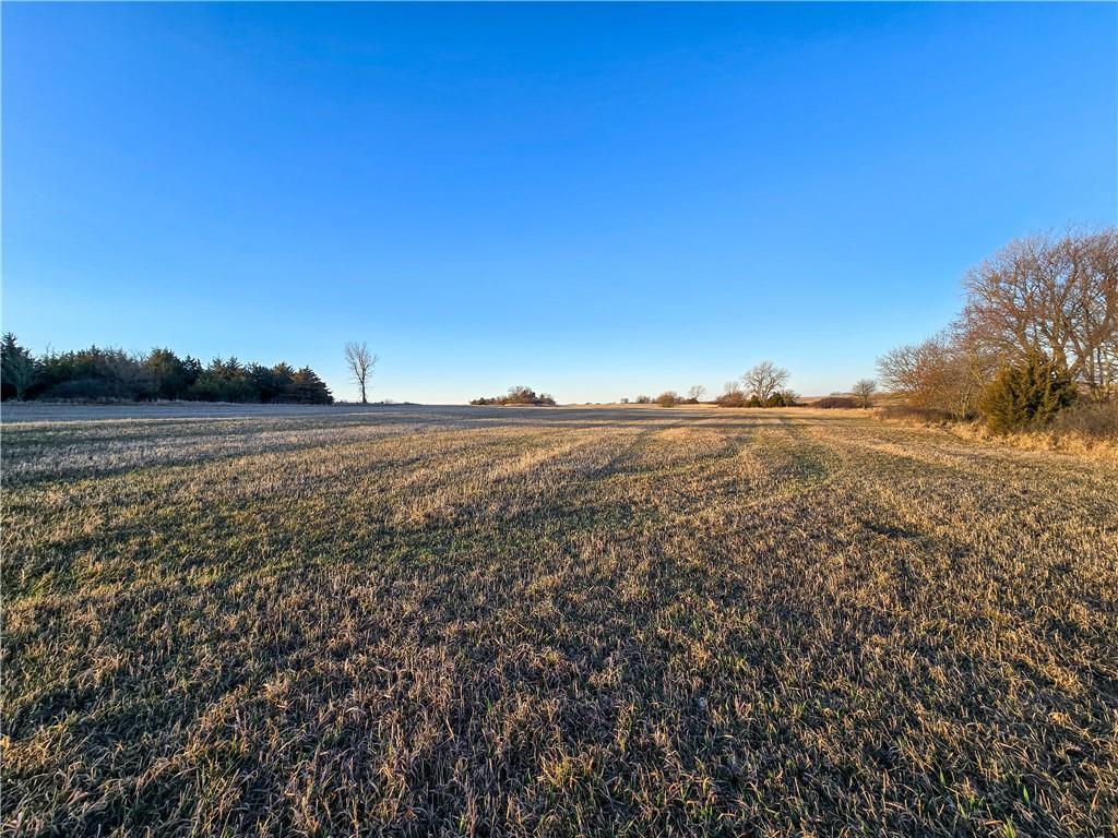 Skiddy Road Property Photo 43