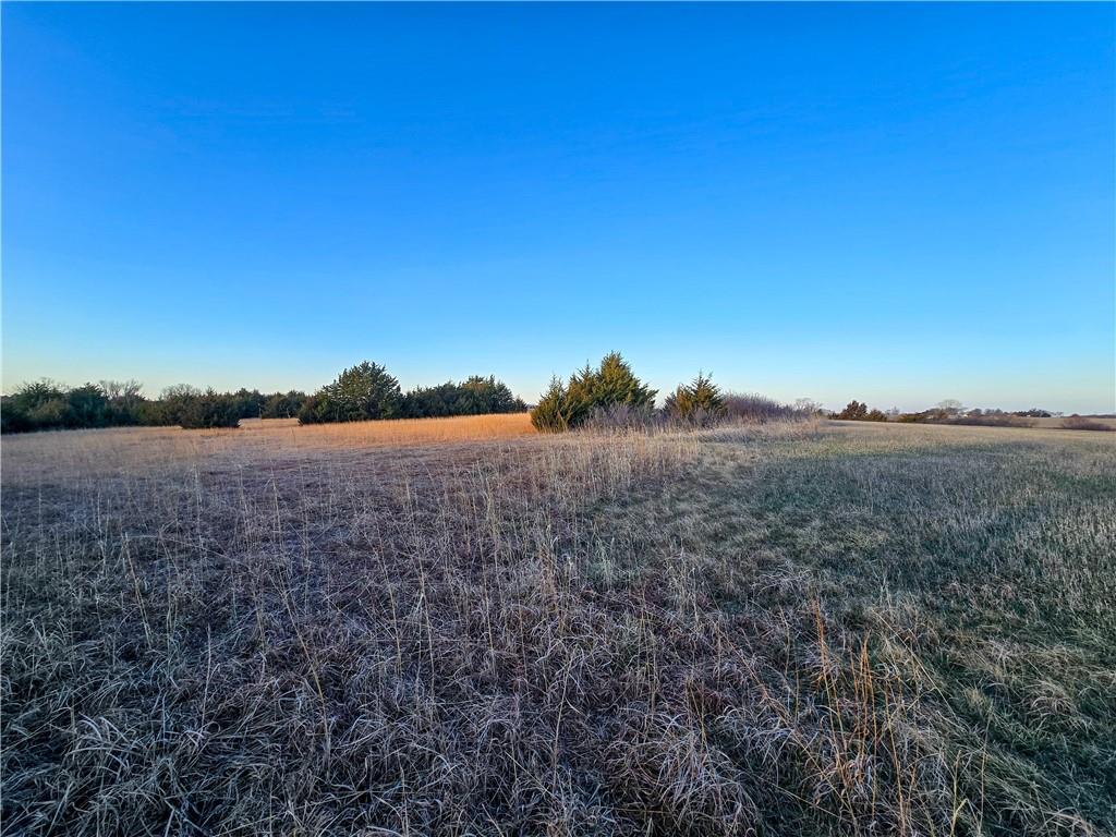Skiddy Road Property Photo 44